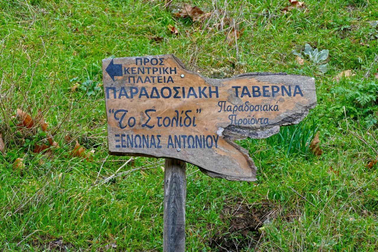 Antoniou Guesthouse Kastanitsa Екстериор снимка